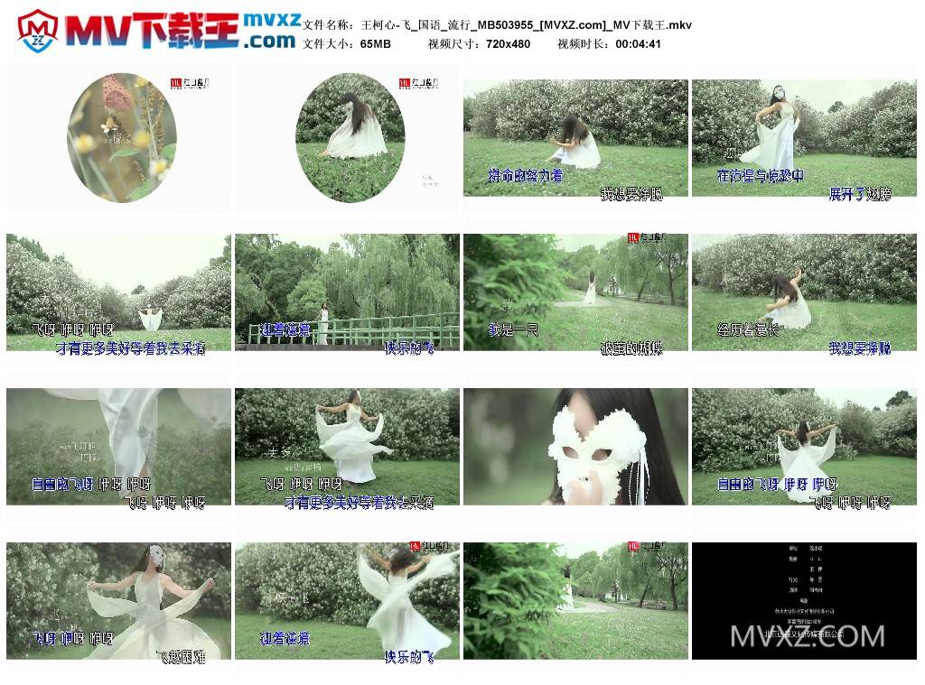 王柯心-飞_国语_流行_MB503955